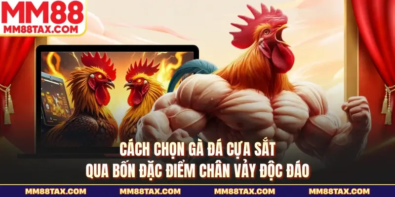 Cách Chọn Gà Đá Cựa Sắt - Bí Thuật Chọn Thần Kê Bất Bại 4 Cách chọn gà đá cựa sắt qua bốn đặc điểm chân vảy độc đáo
